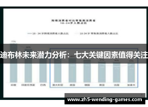 迪布林未来潜力分析：七大关键因素值得关注
