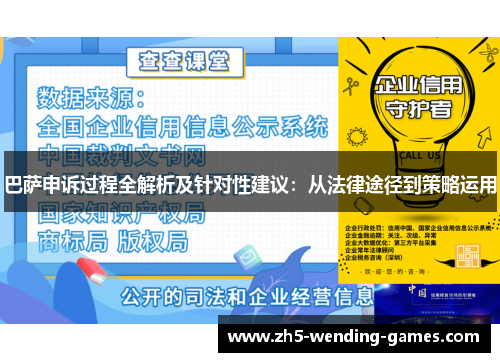 巴萨申诉过程全解析及针对性建议：从法律途径到策略运用