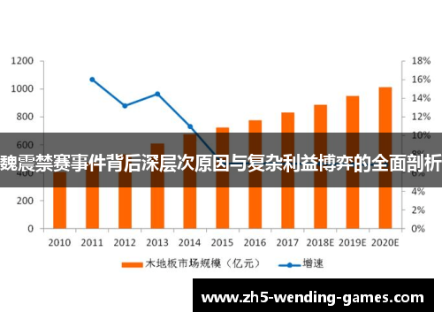 魏震禁赛事件背后深层次原因与复杂利益博弈的全面剖析