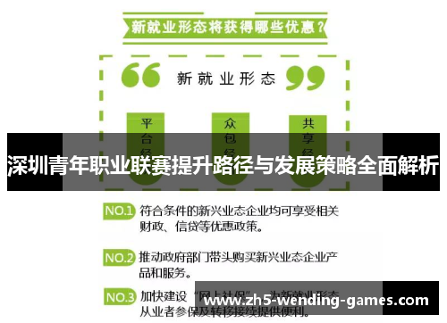 深圳青年职业联赛提升路径与发展策略全面解析