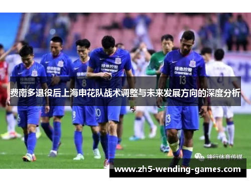 费南多退役后上海申花队战术调整与未来发展方向的深度分析