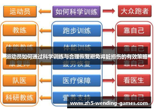 运动员如何通过科学训练与合理恢复避免肾脏损伤的有效策略